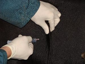 Prostglandin-Injektion